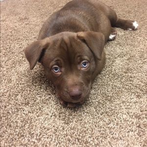 Meet your Posher, Brett